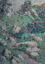 Rocky Roads