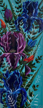 Iris 1