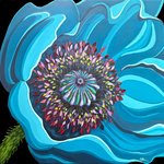 Poppy Blue